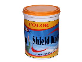 Shield Kote Color Nội Thất